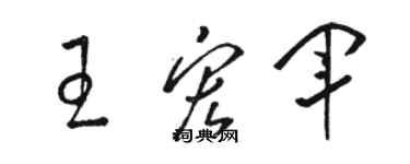 駱恆光王宏軍草書個性簽名怎么寫