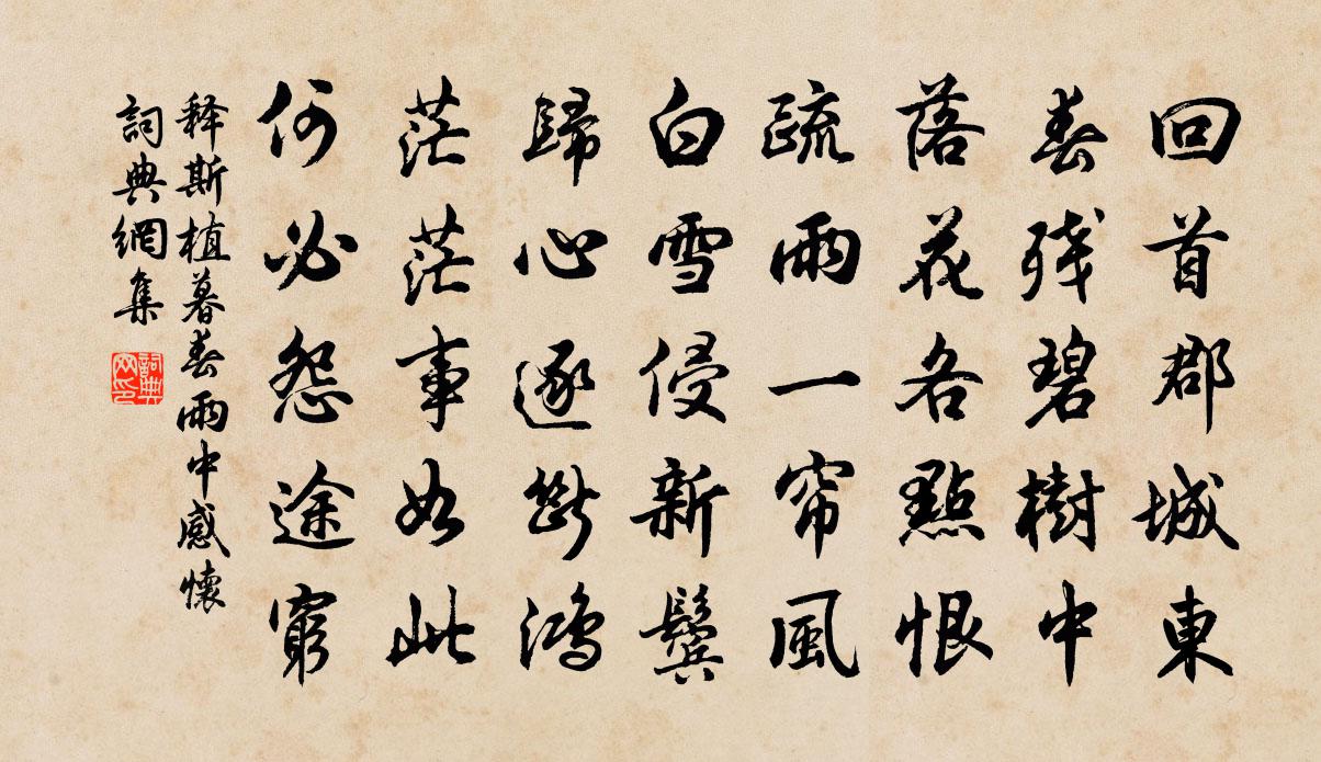 釋斯植暮春雨中感懷書法作品欣賞