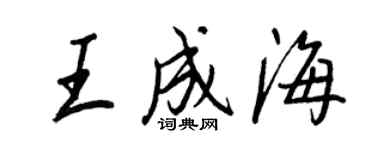 王正良王成海行書個性簽名怎么寫