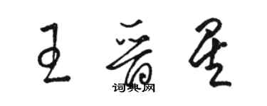 駱恆光王晉星草書個性簽名怎么寫