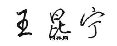 駱恆光王昆寧行書個性簽名怎么寫