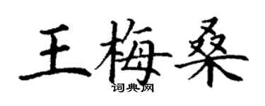 丁謙王梅桑楷書個性簽名怎么寫