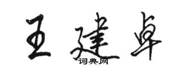 駱恆光王建卓行書個性簽名怎么寫