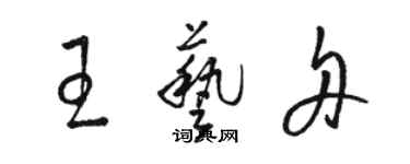 駱恆光王藝舟草書個性簽名怎么寫