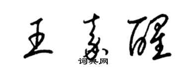 梁錦英王嘉醒草書個性簽名怎么寫