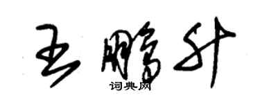 朱錫榮王鵬升草書個性簽名怎么寫