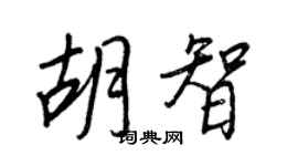 王正良胡智行書個性簽名怎么寫