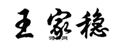 胡問遂王家穩行書個性簽名怎么寫