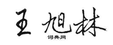 駱恆光王旭林行書個性簽名怎么寫