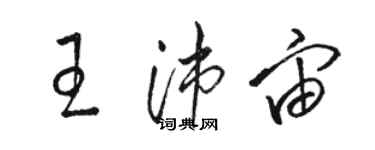 駱恆光王沛宙草書個性簽名怎么寫