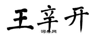 翁闓運王辛開楷書個性簽名怎么寫