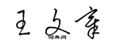 駱恆光王文章草書個性簽名怎么寫