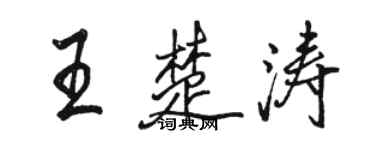 駱恆光王楚濤行書個性簽名怎么寫