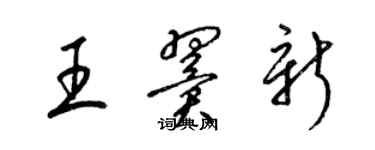 梁錦英王翼新草書個性簽名怎么寫