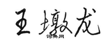 駱恆光王墩龍行書個性簽名怎么寫