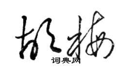 駱恆光胡梅草書個性簽名怎么寫