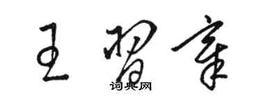 駱恆光王習章草書個性簽名怎么寫