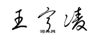 梁錦英王寧凌草書個性簽名怎么寫