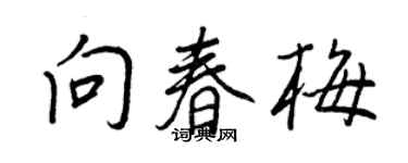 王正良向春梅行書個性簽名怎么寫
