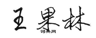 駱恆光王果林行書個性簽名怎么寫