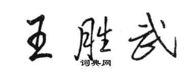 駱恆光王勝武行書個性簽名怎么寫