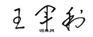 駱恆光王軍利草書個性簽名怎么寫