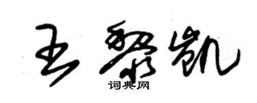 朱錫榮王黎凱草書個性簽名怎么寫