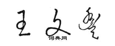 駱恆光王文豐草書個性簽名怎么寫