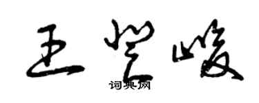 曾慶福王登峻草書個性簽名怎么寫