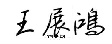 王正良王展鴻行書個性簽名怎么寫