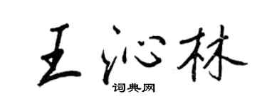 王正良王沁林行書個性簽名怎么寫