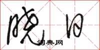 駱恆光曉日草書怎么寫