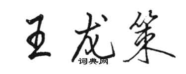 駱恆光王龍策行書個性簽名怎么寫