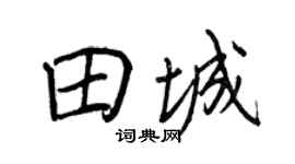 王正良田城行書個性簽名怎么寫