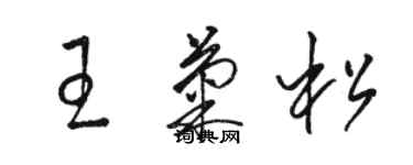 駱恆光王菊松草書個性簽名怎么寫