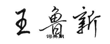 駱恆光王魯新行書個性簽名怎么寫