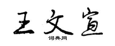 曾慶福王文宣行書個性簽名怎么寫