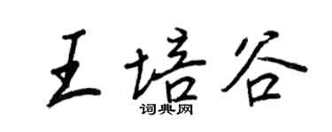 王正良王培谷行書個性簽名怎么寫