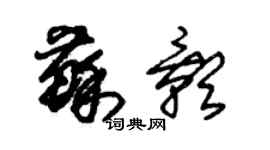 朱錫榮蘇影草書個性簽名怎么寫