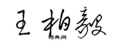 駱恆光王柏毅草書個性簽名怎么寫