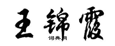 胡問遂王錦霞行書個性簽名怎么寫