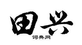 胡問遂田興行書個性簽名怎么寫