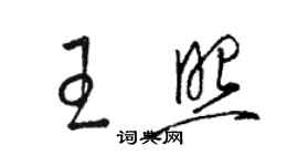 駱恆光王照草書個性簽名怎么寫