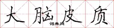 侯登峰大腦皮質楷書怎么寫