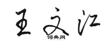 駱恆光王文江行書個性簽名怎么寫