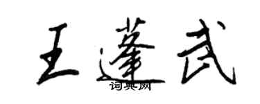 王正良王蓬武行書個性簽名怎么寫