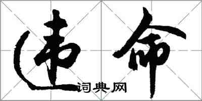 胡問遂違命行書怎么寫