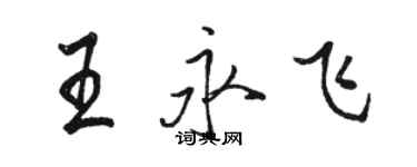 駱恆光王永飛行書個性簽名怎么寫