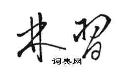 駱恆光林習草書個性簽名怎么寫