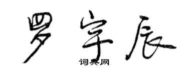 曾慶福羅宇辰行書個性簽名怎么寫